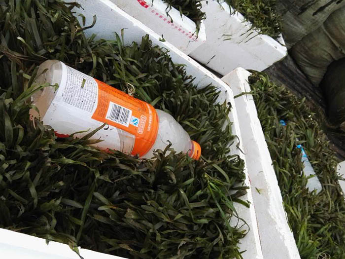 重庆赵世炎故居景观绿化